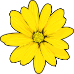 Alt Image