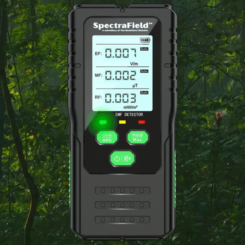 EMF Meter