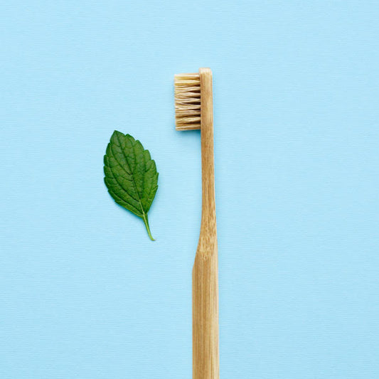 4-Pack Natural Non-Toxic Plastic-Free Toothbrush